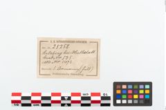 Etikett zu Bronzebuckelarmreif (NHMW-PRAE-025258)